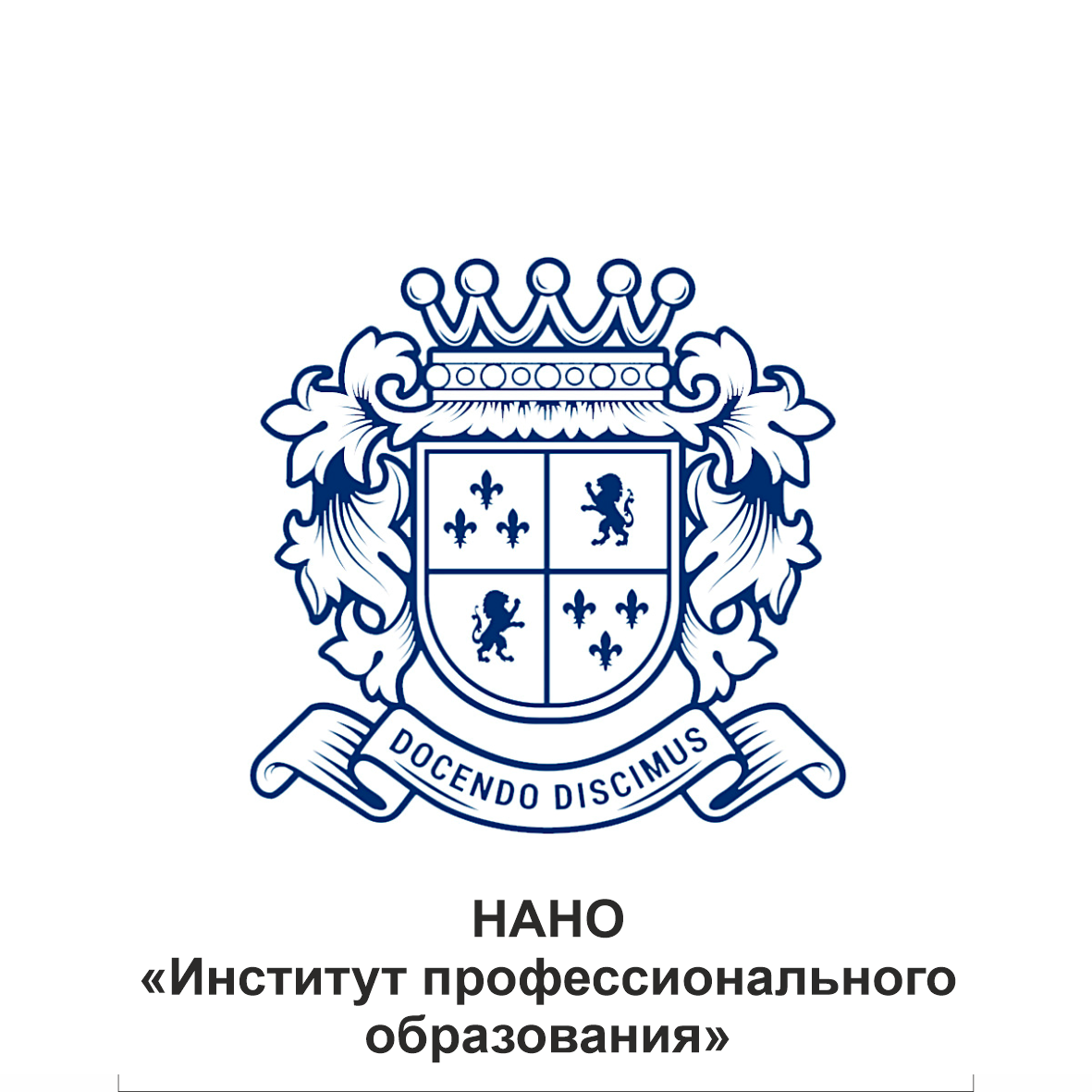 НАНО «Институт профессионального образования»